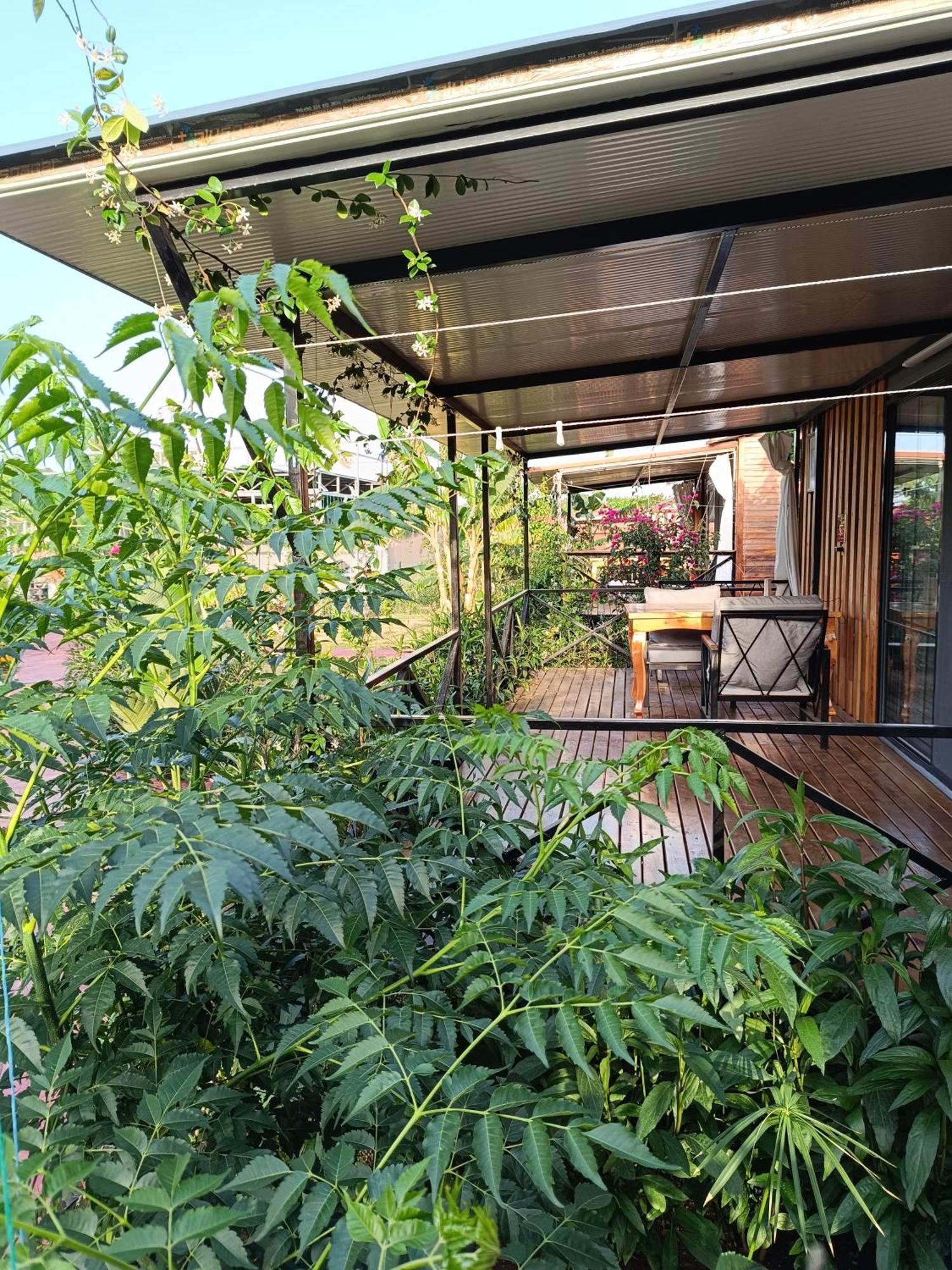 Arlin Bungalows Kemer Room photo
